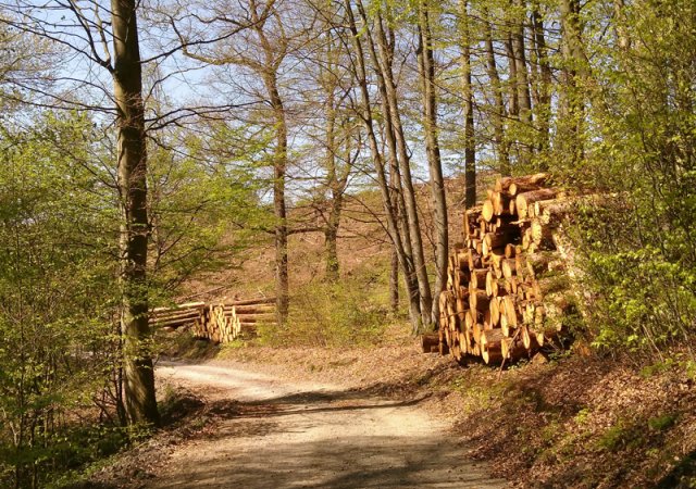 Holzpolter im Rheinisch-Bergischen Kreis
